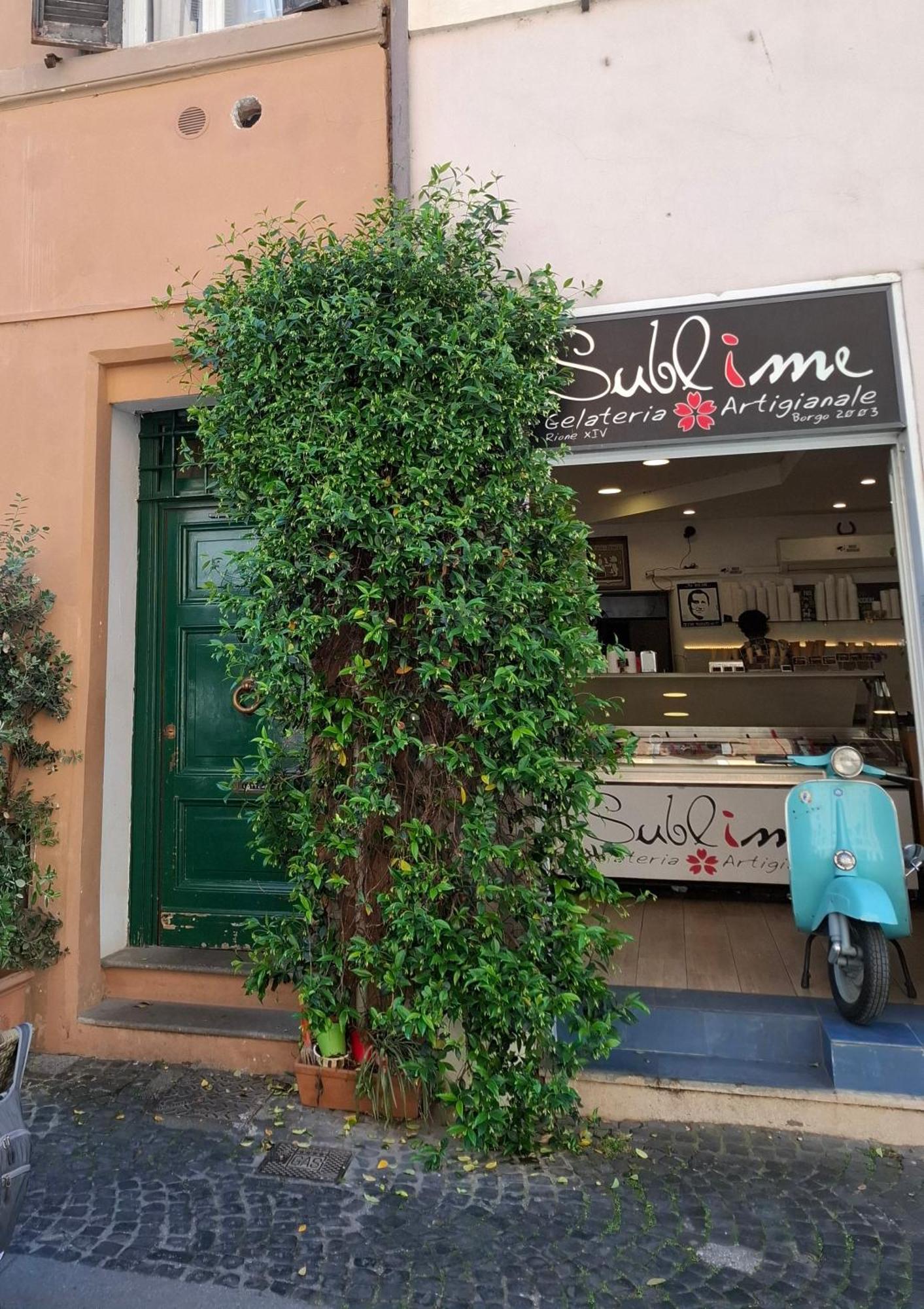 Borgo Place Rom